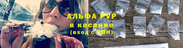 стаф Богородицк