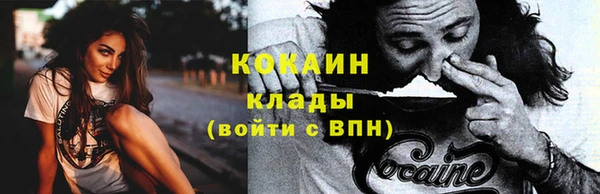 стаф Богородицк