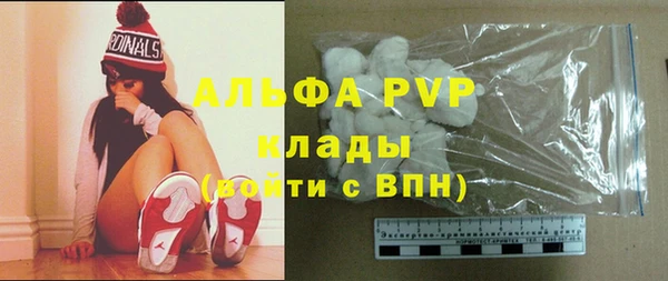 метадон Богданович