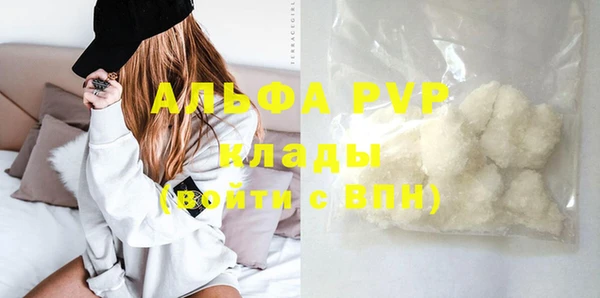 стаф Богородицк