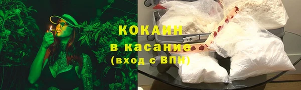 стаф Богородицк