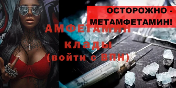 метадон Богданович