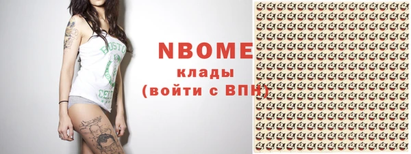 метадон Богданович
