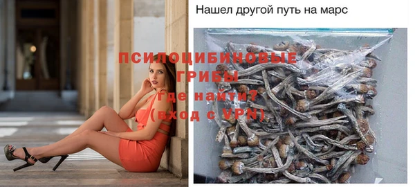 стаф Богородицк