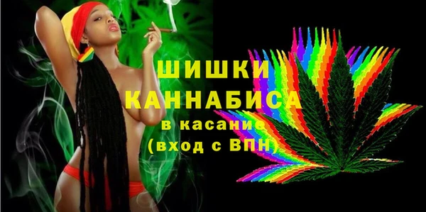 метадон Богданович