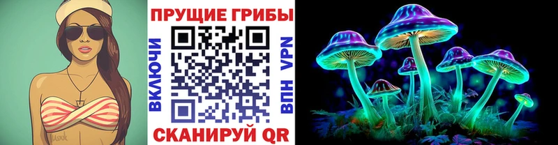 Купить  Плёс  Псилоцибиновые грибы прущие грибы 